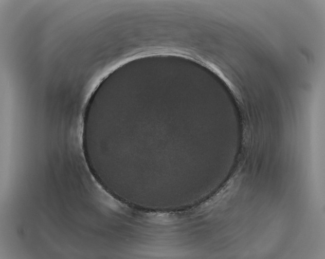 X0000113291508200909141153