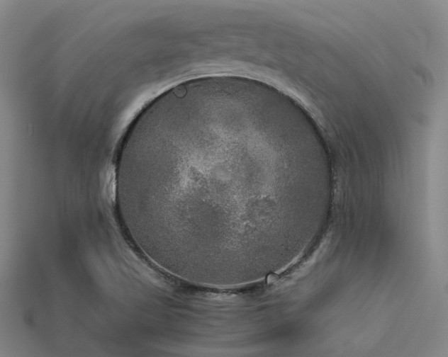 X0000113291509200909141153