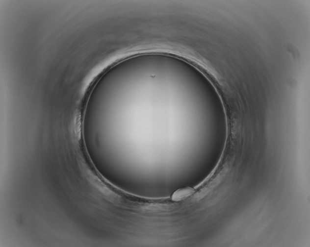 X0000113291510200909141153