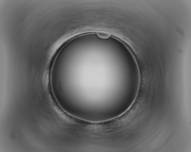 X0000113291511200909141153