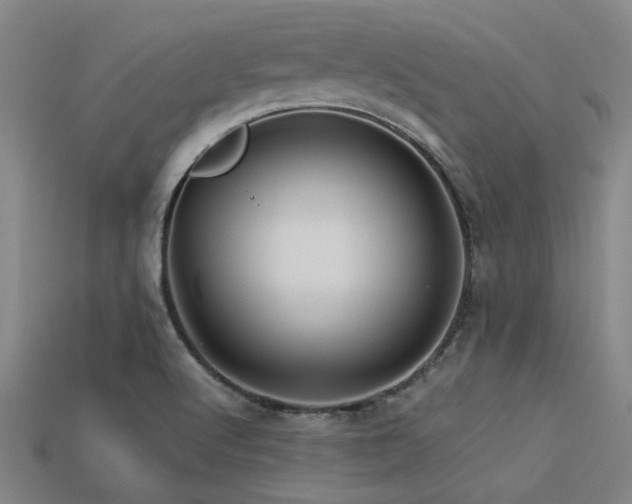 X0000113291512200909141153