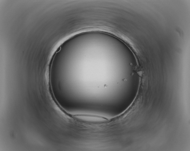 X0000113291516200909141153