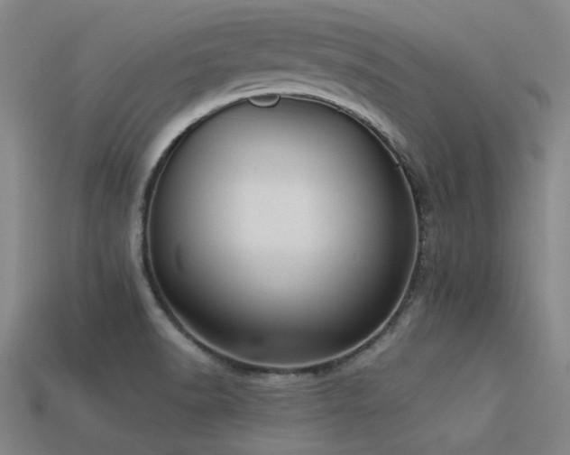 X0000113291518200909141153