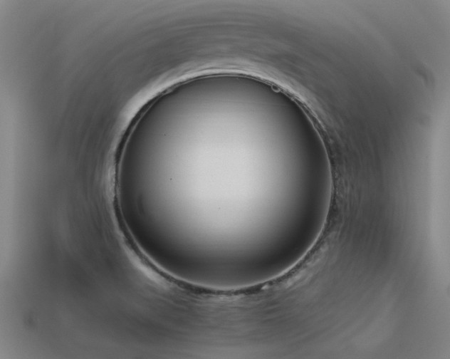 X0000113291519200909141153