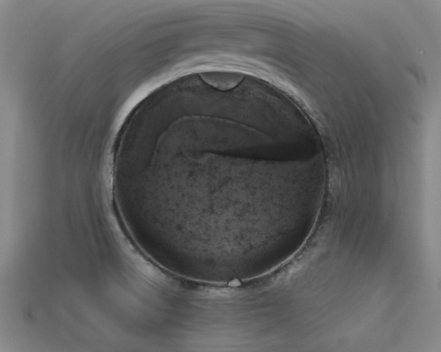 X0000113291522200909141153