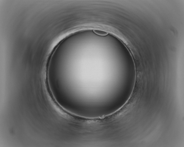 X0000113291523200909141153