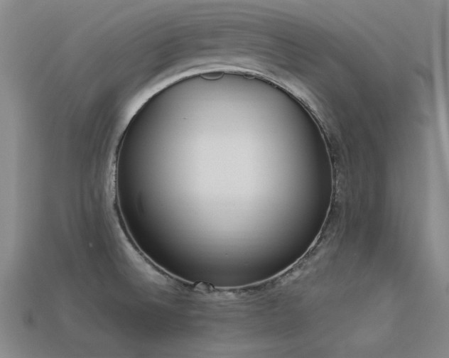 X0000113291524200909141153