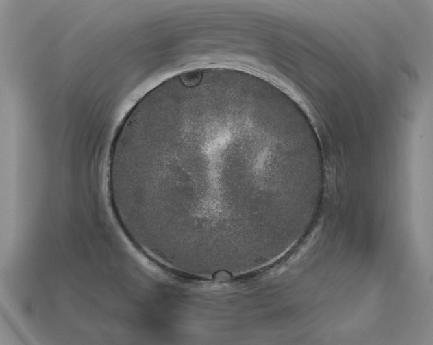 X0000113291525200909141153