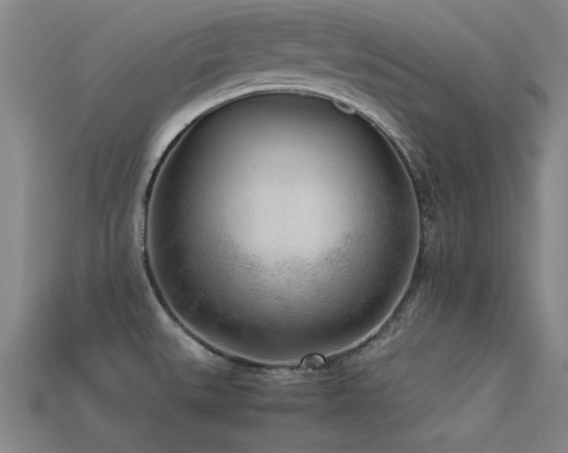 X0000113291527200909141153