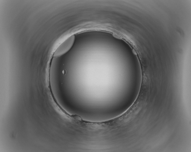 X0000113291528200909141153