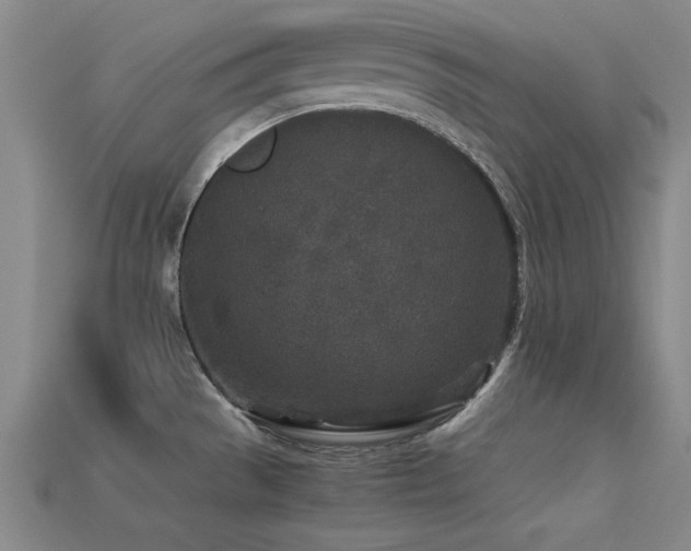 X0000113291529200909141153