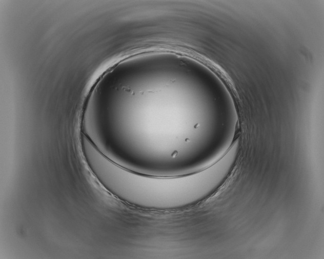 X0000113291530200909141153