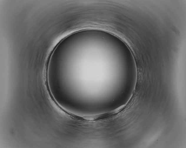 X0000113291531200909141153