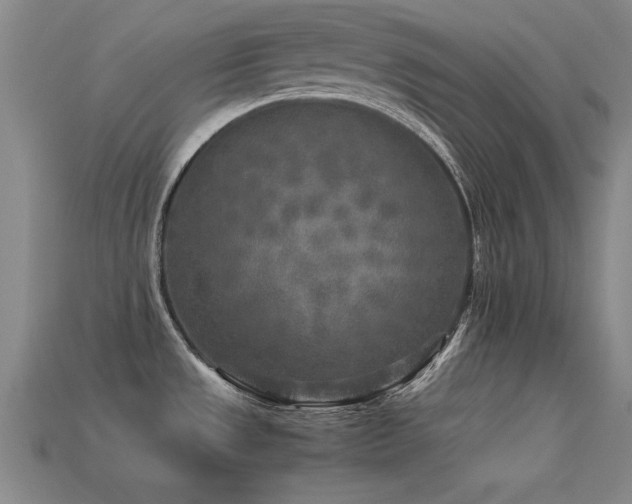 X0000113291533200909141153