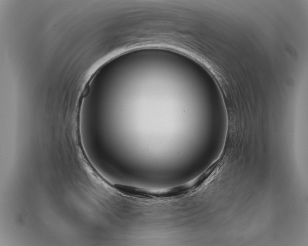 X0000113291534200909141153