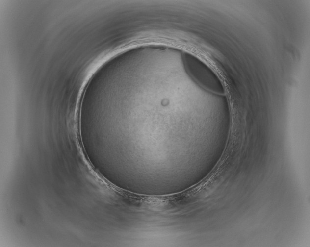 X0000113291536200909141153