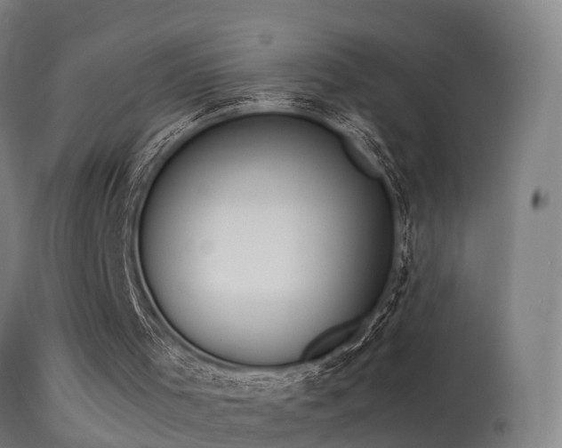 X0000113290001200909211114