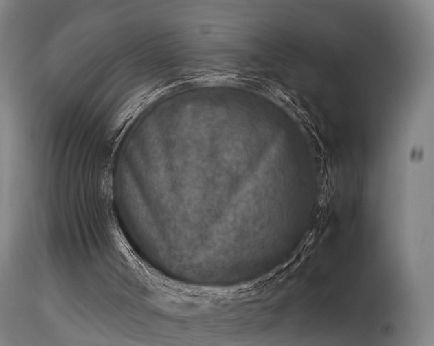 X0000113290002200909211114