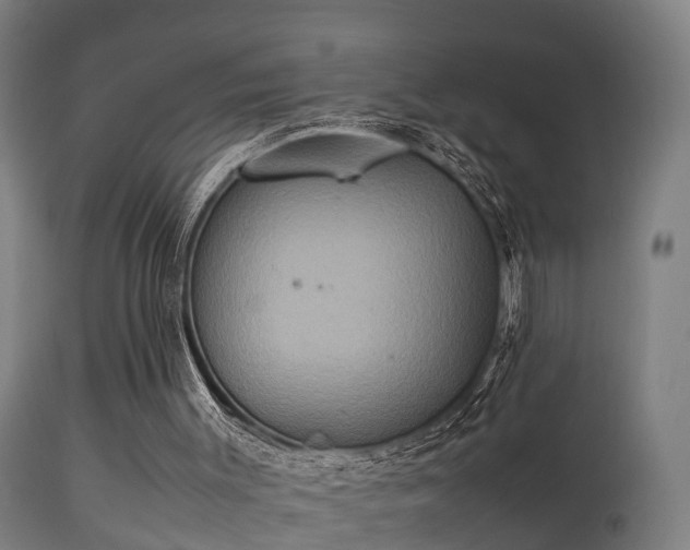 X0000113290003200909211114