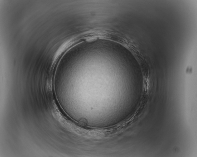 X0000113290004200909211114