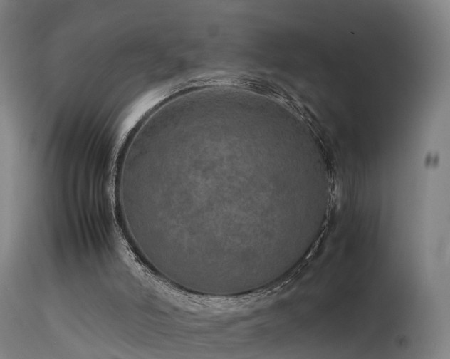 X0000113290006200909211114