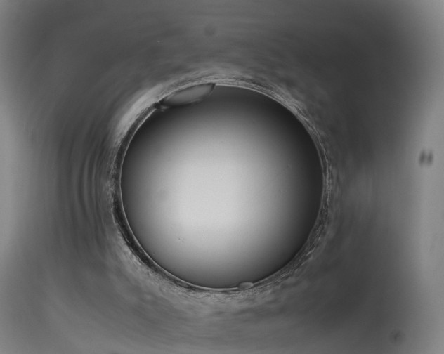 X0000113290007200909211114