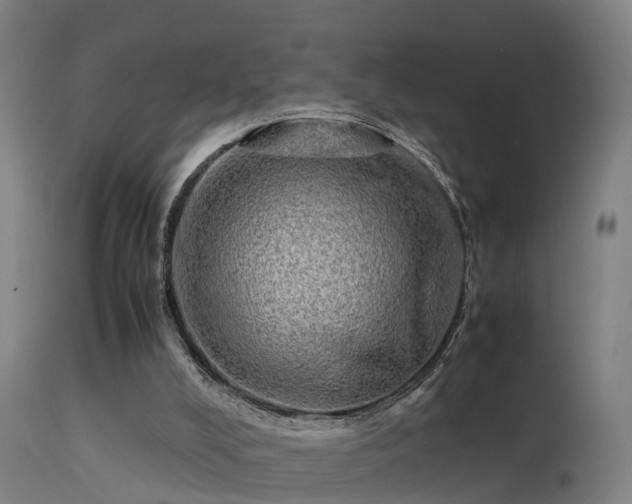 X0000113290008200909211114