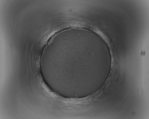 X0000113290009200909211114