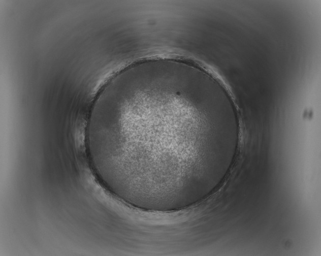 X0000113290010200909211114