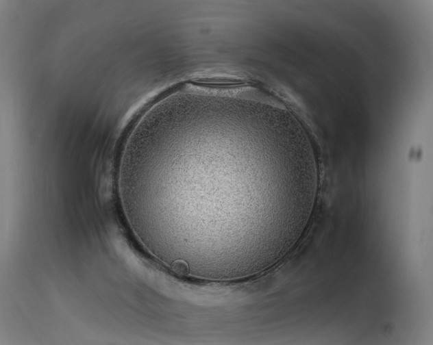 X0000113290012200909211114