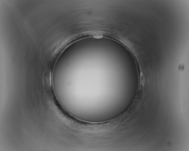 X0000113290013200909211114