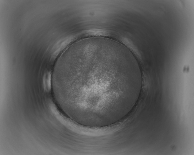 X0000113290014200909211114