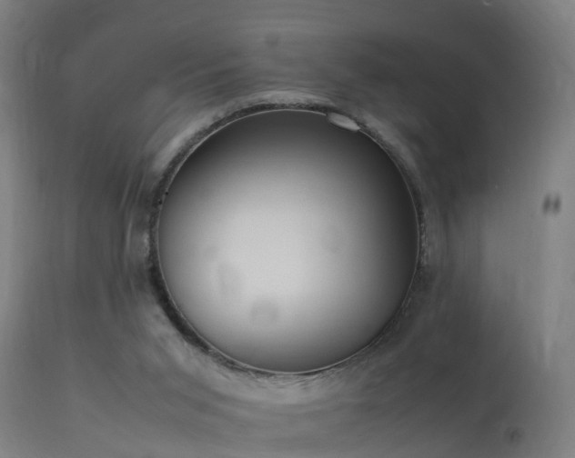 X0000113290015200909211114