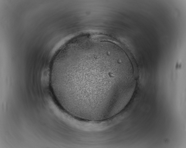 X0000113290016200909211114