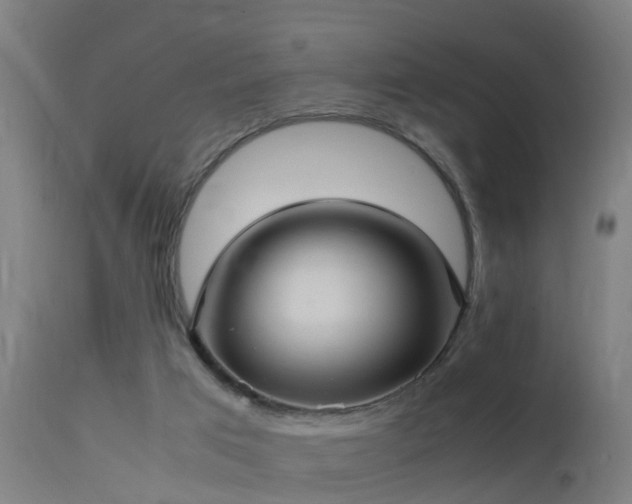 X0000113290017200909211114