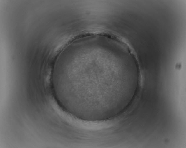 X0000113290018200909211114