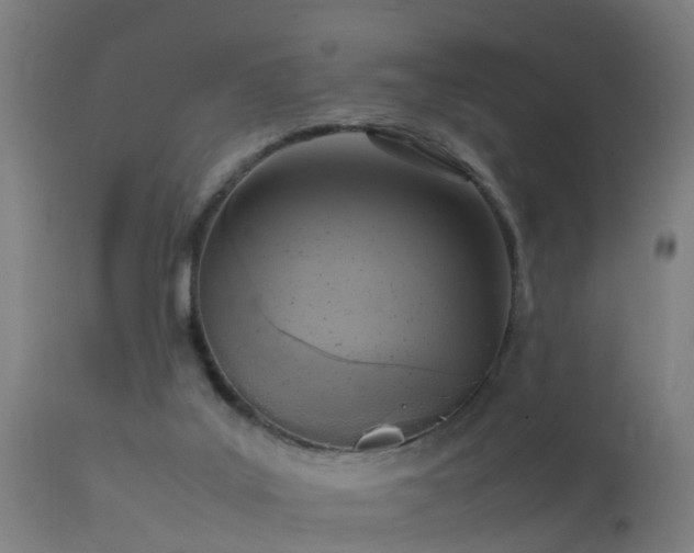 X0000113290019200909211114