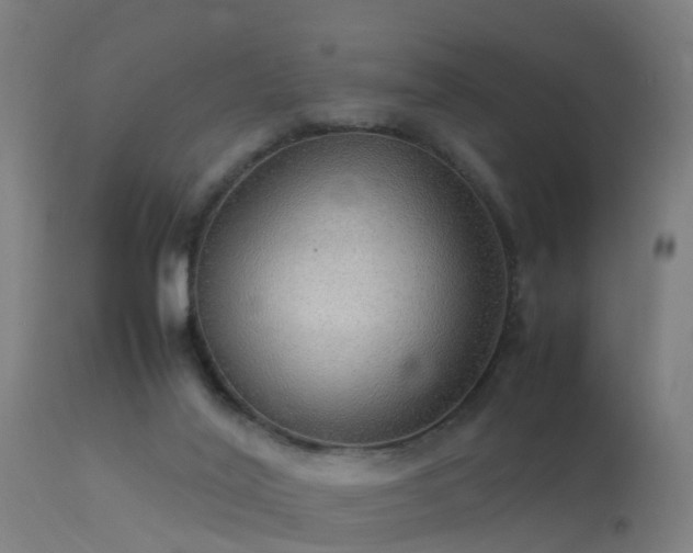 X0000113290020200909211114