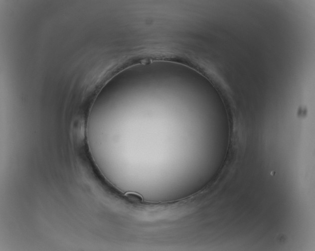 X0000113290021200909211114