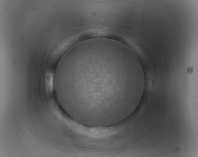 X0000113290022200909211114