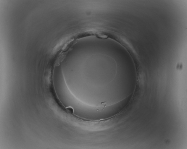 X0000113290023200909211114