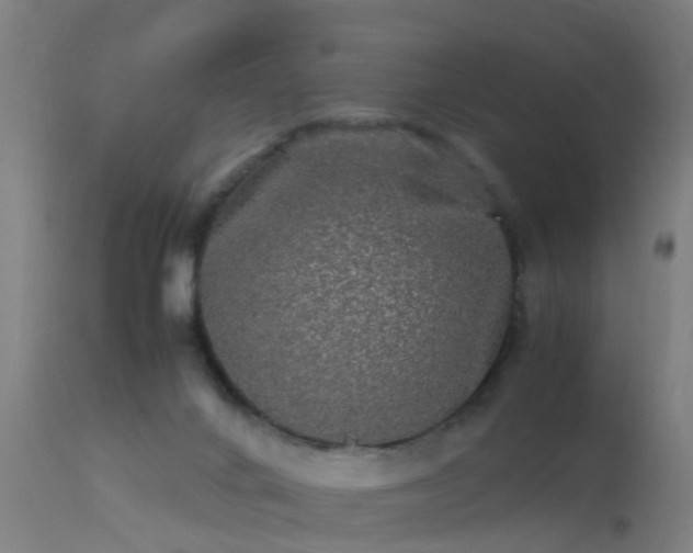 X0000113290024200909211114