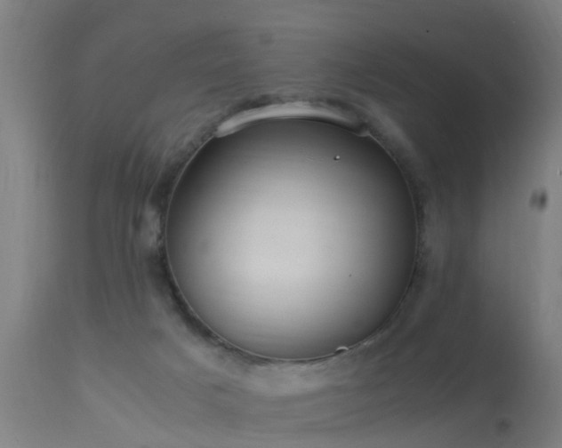 X0000113290025200909211114