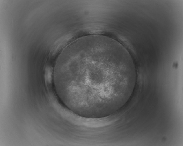 X0000113290026200909211114