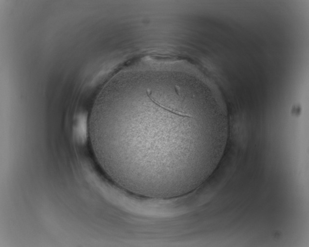 X0000113290028200909211114