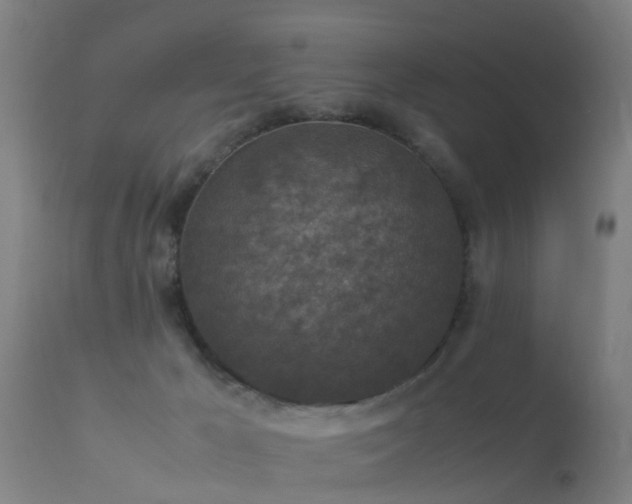 X0000113290029200909211114