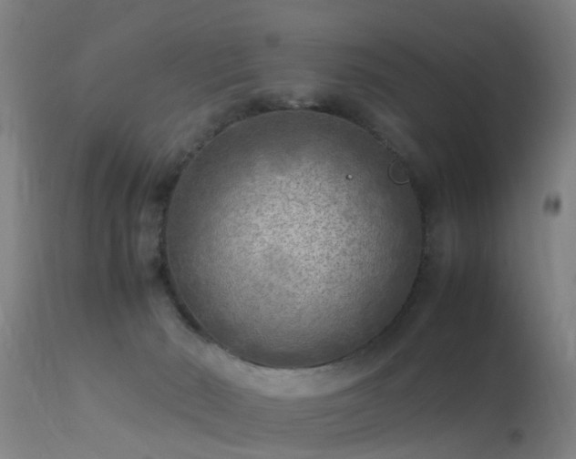 X0000113290030200909211114