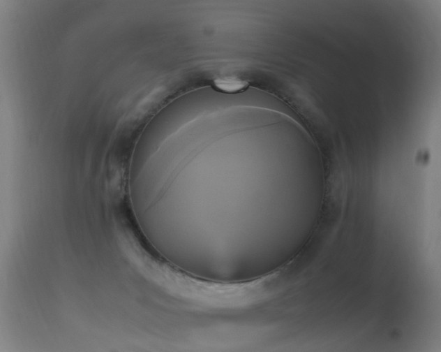 X0000113290031200909211114