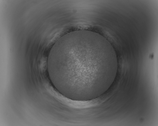 X0000113290034200909211114