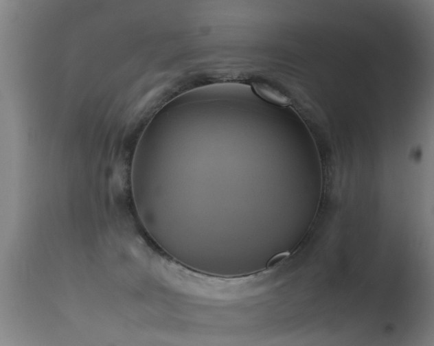 X0000113290035200909211114